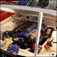 IMG_3740.JPG