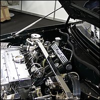 IMG_3777.JPG