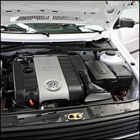 IMG_3783.JPG