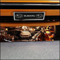 IMG_3787.JPG