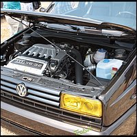 IMG_3134.JPG